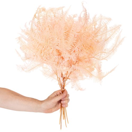 Suszone liście paproci, ozdoba z paproci do wazonów, 60 cm, 10 szt. | Floristik24.pl