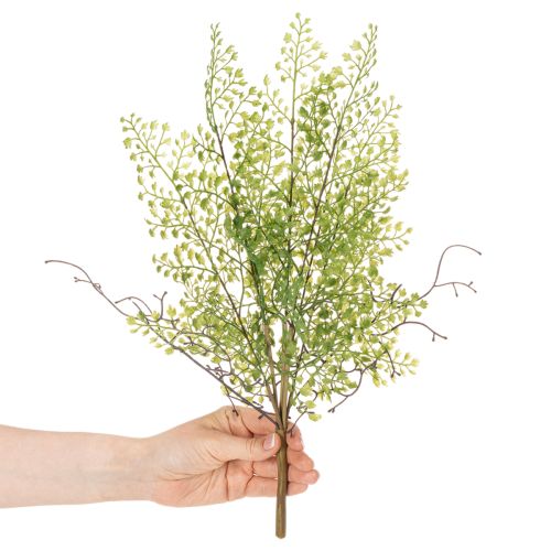 Sztuczna zielona gałązka ruskusa do dekoracji kwiatowych, 41 cm | Floristik24.pl