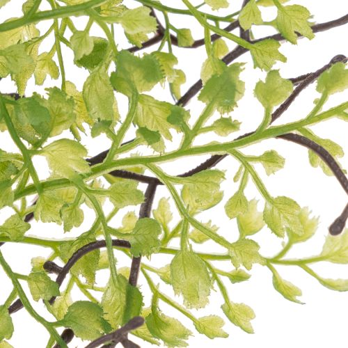 Sztuczna zielona gałązka ruskusa do dekoracji kwiatowych, 41 cm | Floristik24.pl