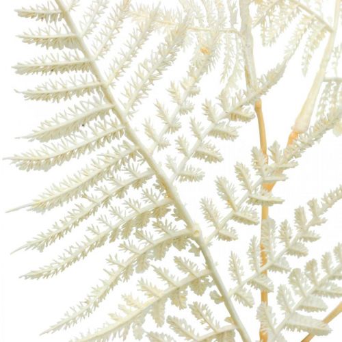 Produkt Ozdobny liść paproci, sztuczna roślina, gałązka paproci, dekoracyjny liść paproci biały L59cm