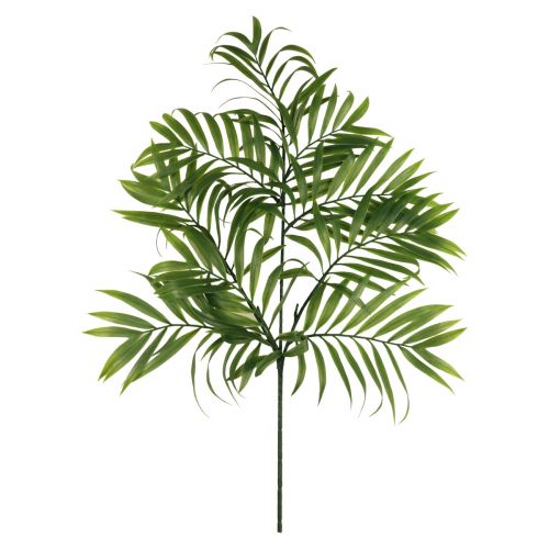 Floristik24 Ozdoba palmowa liście palmowe sztuczne rośliny zielone 56cm 3szt