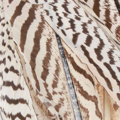 Produkt Pióra bażanta do rękodzieła brązowe beżowe naturalne 20cm 20szt