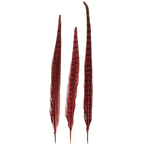 Produkt Pióra Bażanta Czerwone Prawdziwe Pióra Dekoracja Wino Czerwone 35-45cm 9 szt