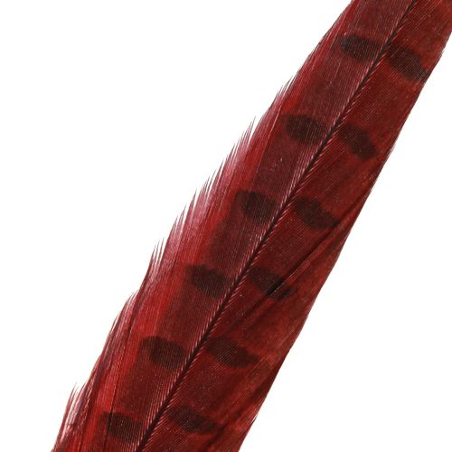 Produkt Pióra Bażanta Czerwone Prawdziwe Pióra Dekoracja Wino Czerwone 35-45cm 9 szt