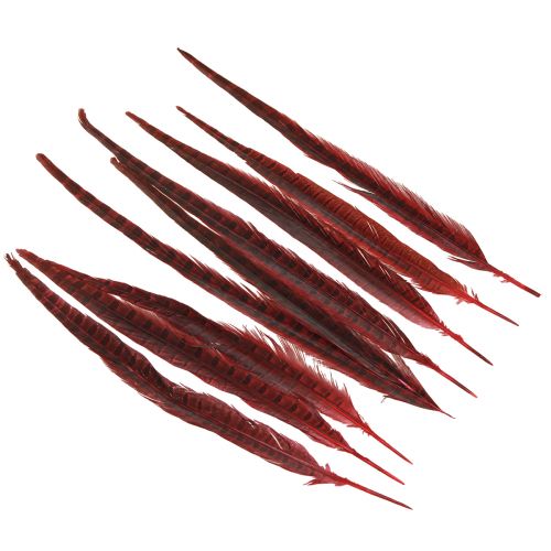 Produkt Pióra Bażanta Czerwone Prawdziwe Pióra Dekoracja Wino Czerwone 35-45cm 9 szt