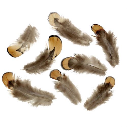 Floristik24 Feather Mix Nature 12g