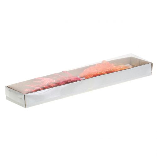 Floristik24 Motyl piórko pomarańczowo-czerwone 5cm 24szt.