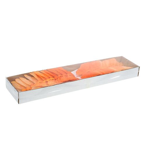 Floristik24 Motyl z piórami 8 cm pomarańczowy 24 szt.