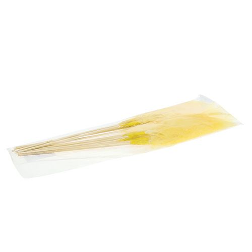 Floristik24 Sprężyna na patyku L 30cm Żółta 12szt