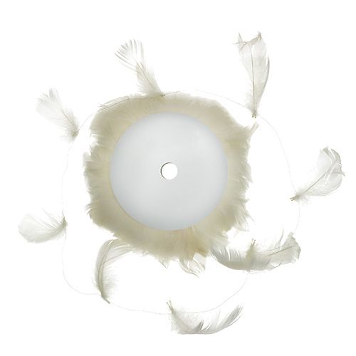 Floristik24 Sprężyna na drucie krem 10m