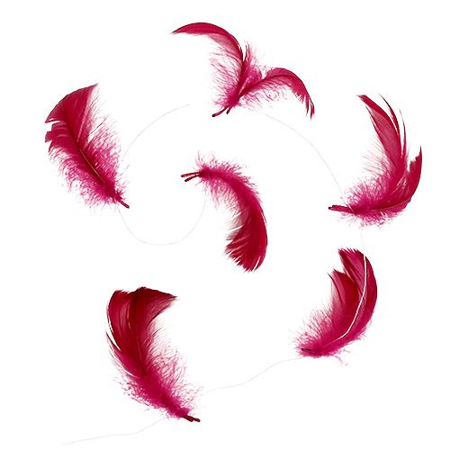 Floristik24 Pióra na drucie Erika 10m