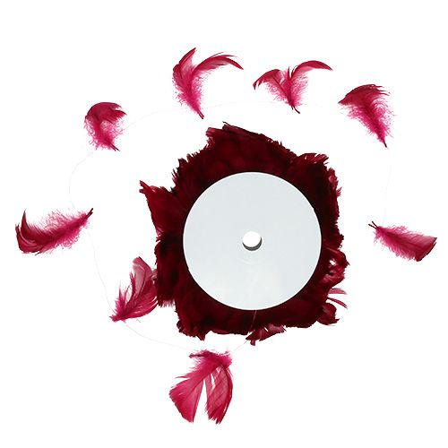 Floristik24 Pióra na drucie Erika 10m