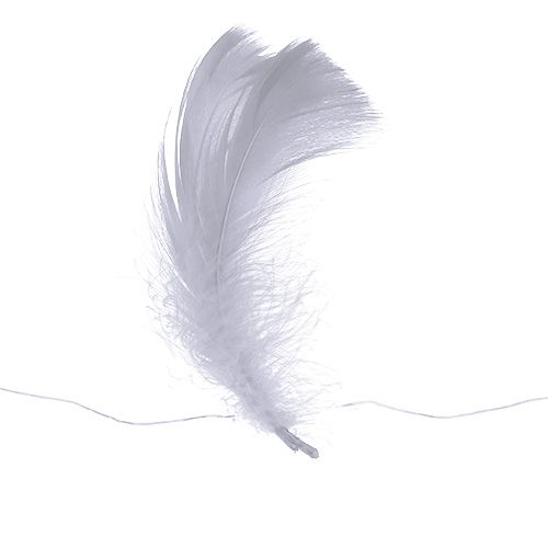 Floristik24 Sprężyna na drucie Biała 10m