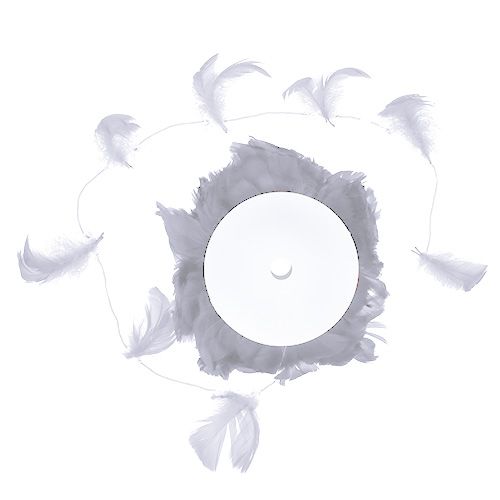 Floristik24 Sprężyna na drucie Biała 10m