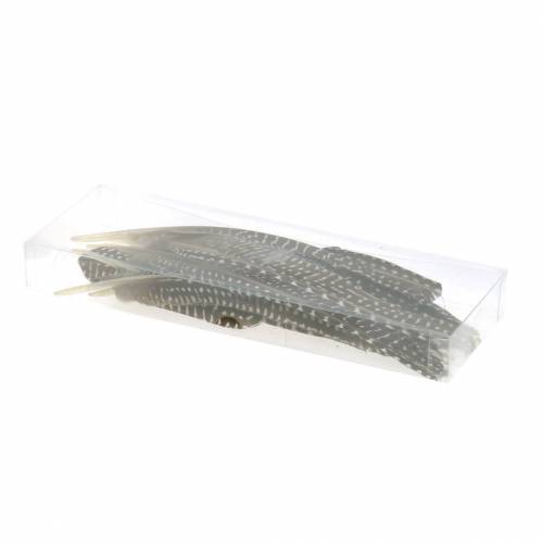 Floristik24 Pióra natura 18 - 24cm 10g