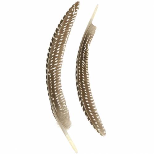 Pióra natura 18 - 24cm 10g
