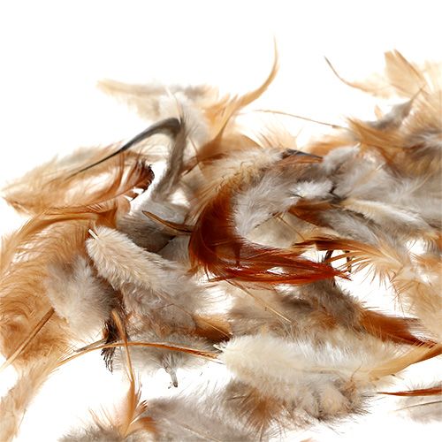 Floristik24 Sortowanie z piór. 5-15 cm natura 228 sztuk