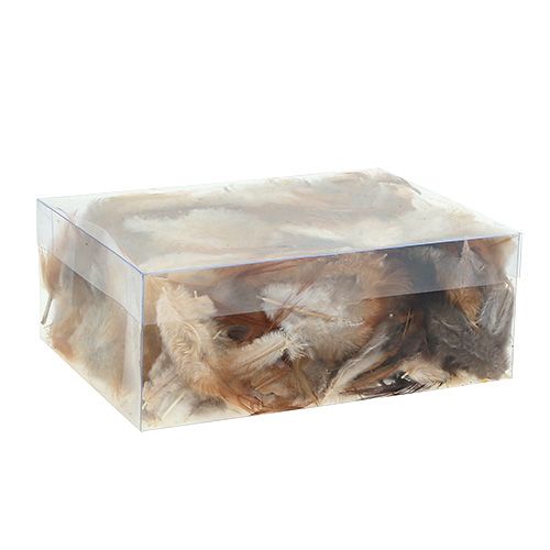 Floristik24 Sortowanie z piór. 5-15 cm natura 228 sztuk