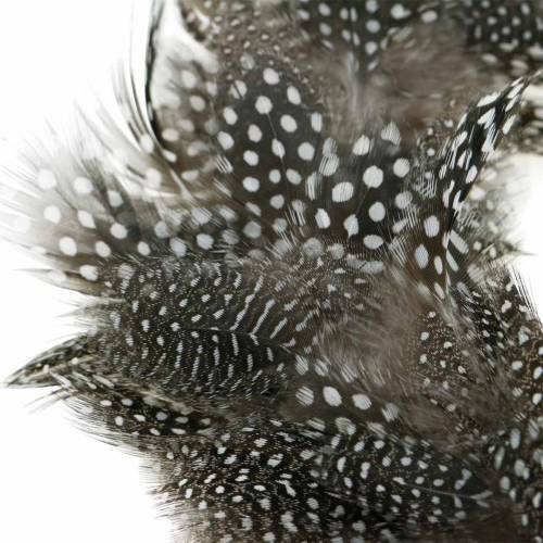 Floristik24 Feather Wreath Guinea Fowl Real Feathers Ø35cm Easter Decoration Spring Decoration