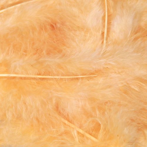 Produkt Piórka pomarańczowe na wiosnę Rękodzieło wielkanocne 5-10cm 20g
