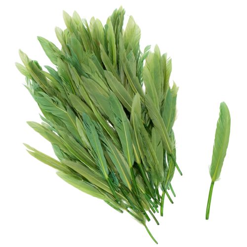 Dekoracyjne pióra dla stylowego otoczenia i imponujących dekoracji 10 cm