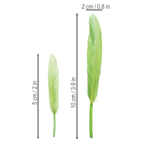 Produkt Dekoracyjne pióra dla stylowego otoczenia i imponujących dekoracji 10 cm