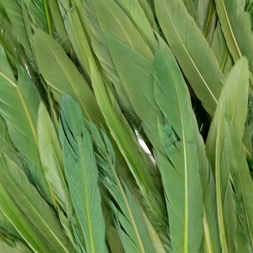 Produkt Dekoracyjne pióra dla stylowego otoczenia i imponujących dekoracji 10 cm