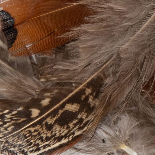 Produkt Pióra do wszechstronnych pomysłów rękodzielniczych, kreatywnych projektów i dekoracji, 5 cm, 3 g