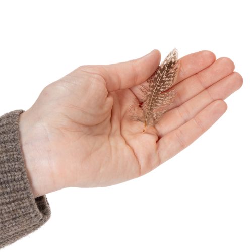 Produkt Pióra do wszechstronnych pomysłów rękodzielniczych, kreatywnych projektów i dekoracji, 5 cm, 3 g