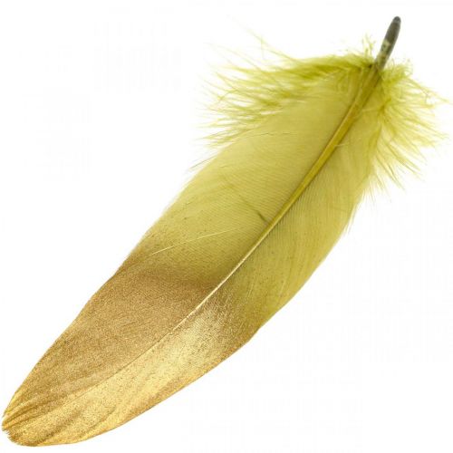 Floristik24 Pióra do rękodzieła, pióra dekoracyjne, zielono-złote, dł. 16–20cm, 24 szt.