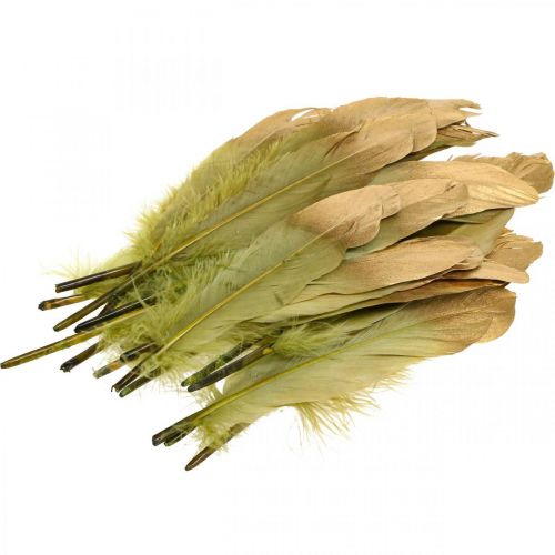 Floristik24 Pióra do rękodzieła, pióra dekoracyjne, zielono-złote, dł. 16–20cm, 24 szt.