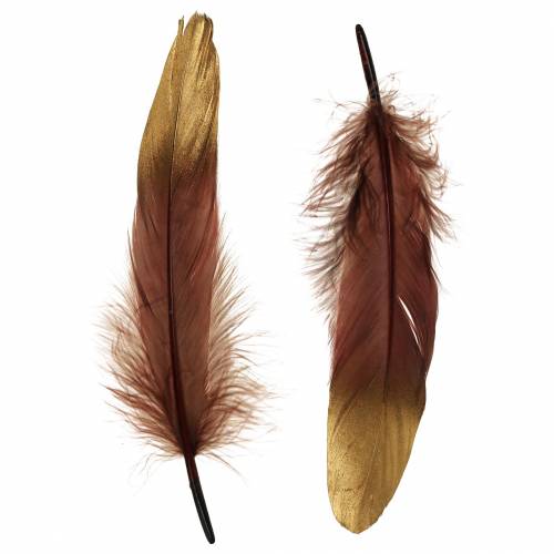 Floristik24 Pióra bordowe, złote 18-23cm 24 szt