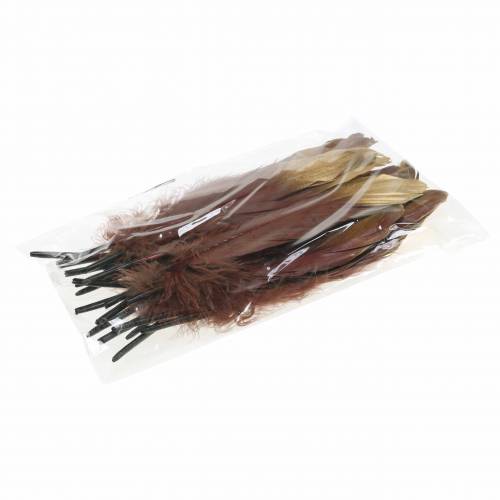 Floristik24 Pióra bordowe, złote 18-23cm 24 szt