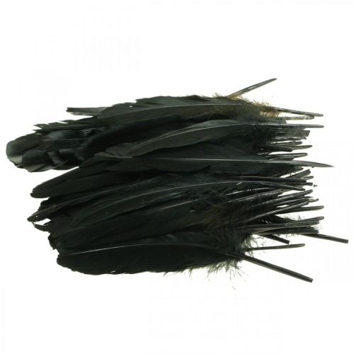 Produkt Pióra dekoracyjne czarne ptasie pióra do wykonania 14-17cm 20g