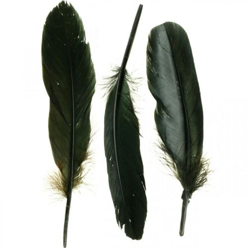Pióra dekoracyjne czarne ptasie pióra do wykonania 14-17cm 20g