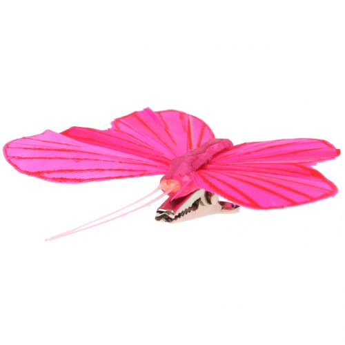 Floristik24 Motyl z piórkiem na klipsie kolorowy 6cm 12szt