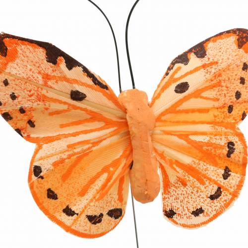Floristik24 Motyl żółty pomarańczowy na drucie 7 cm drut 24 szt.