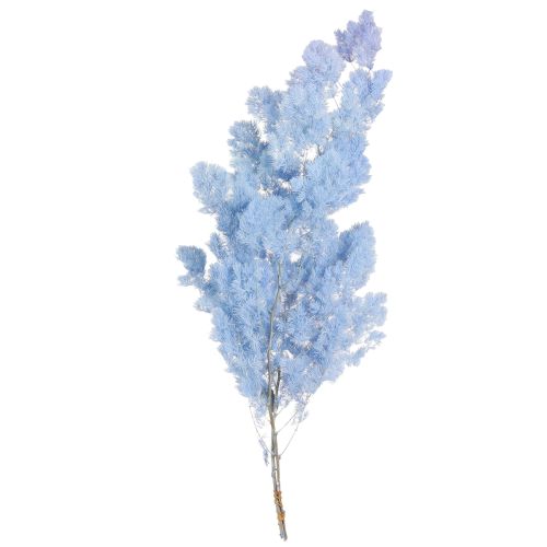 Produkt Szparagi piórkowe Szparagi Suszone Dekoracje Jasnoniebieskie 55-70cm 100g