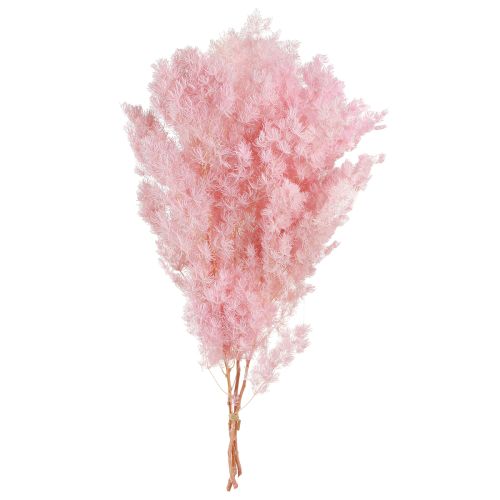 Produkt Szparagi piórkowe Szparagi dekoracyjne różowe 55-70cm 100g