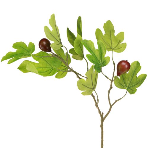 Produkt Gałązka figowa, gałązka ozdobna, owoc ozdobny, dekoracja figowa, 64 cm, 2 sztuki