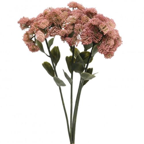 Floristik24 Rozchodnik Różowy Rozchodnik Rozchodnik Sztuczne Kwiaty W48cm 4szt