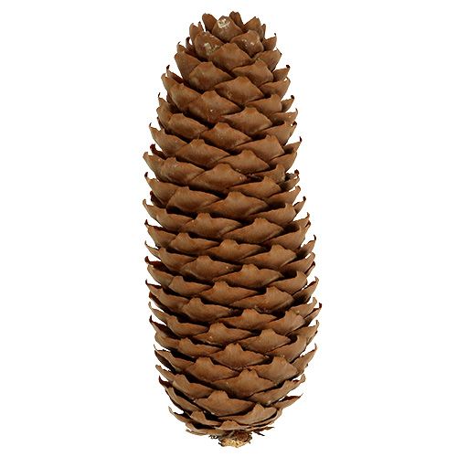 Szyszki świerkowe naturalne szyszki sosnowe 5 kg
