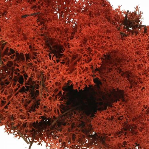 Mech dekoracyjny czerwony Siena naturalny mech do rękodzieła, suszony, barwiony 500g