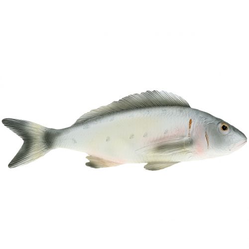 Floristik24 Okoń Deco Fish L27,5cm