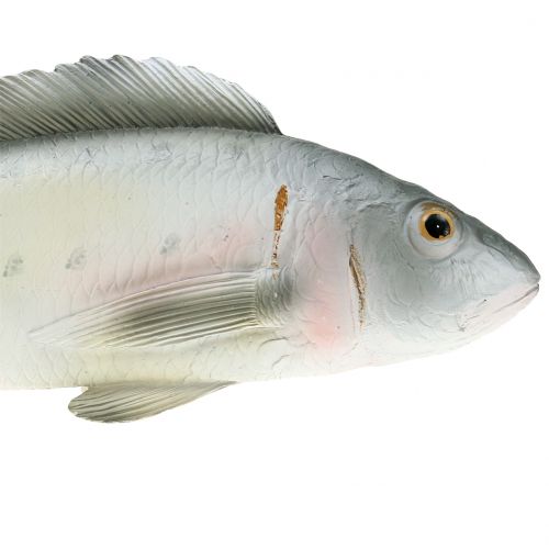 Floristik24 Okoń Deco Fish L27,5cm