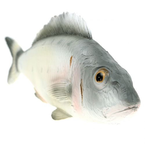 Floristik24 Okoń Deco Fish L27,5cm