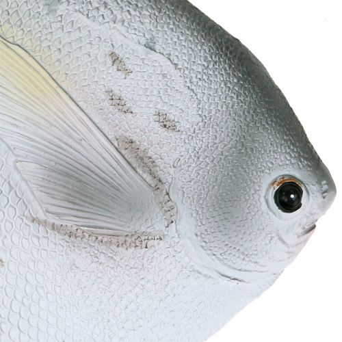 Floristik24 Ryba dekoracyjna L21cm