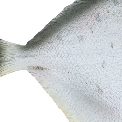 Floristik24 Ryba dekoracyjna L21cm