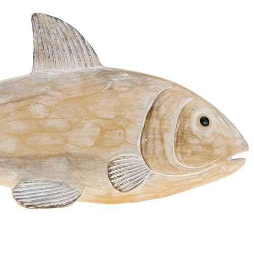 Floristik24 Dekoracyjna ryba w drewnie o wyglądzie natury L19cm