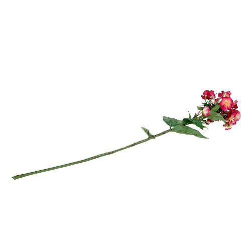 Floristik24 Flame Flower Pink 72cm